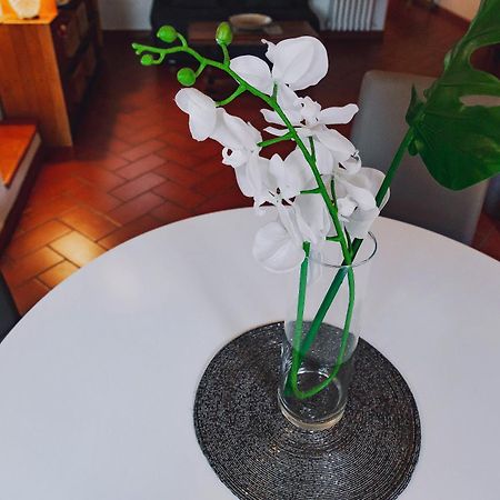佛罗伦萨Borgo Pinti 49公寓 外观 照片