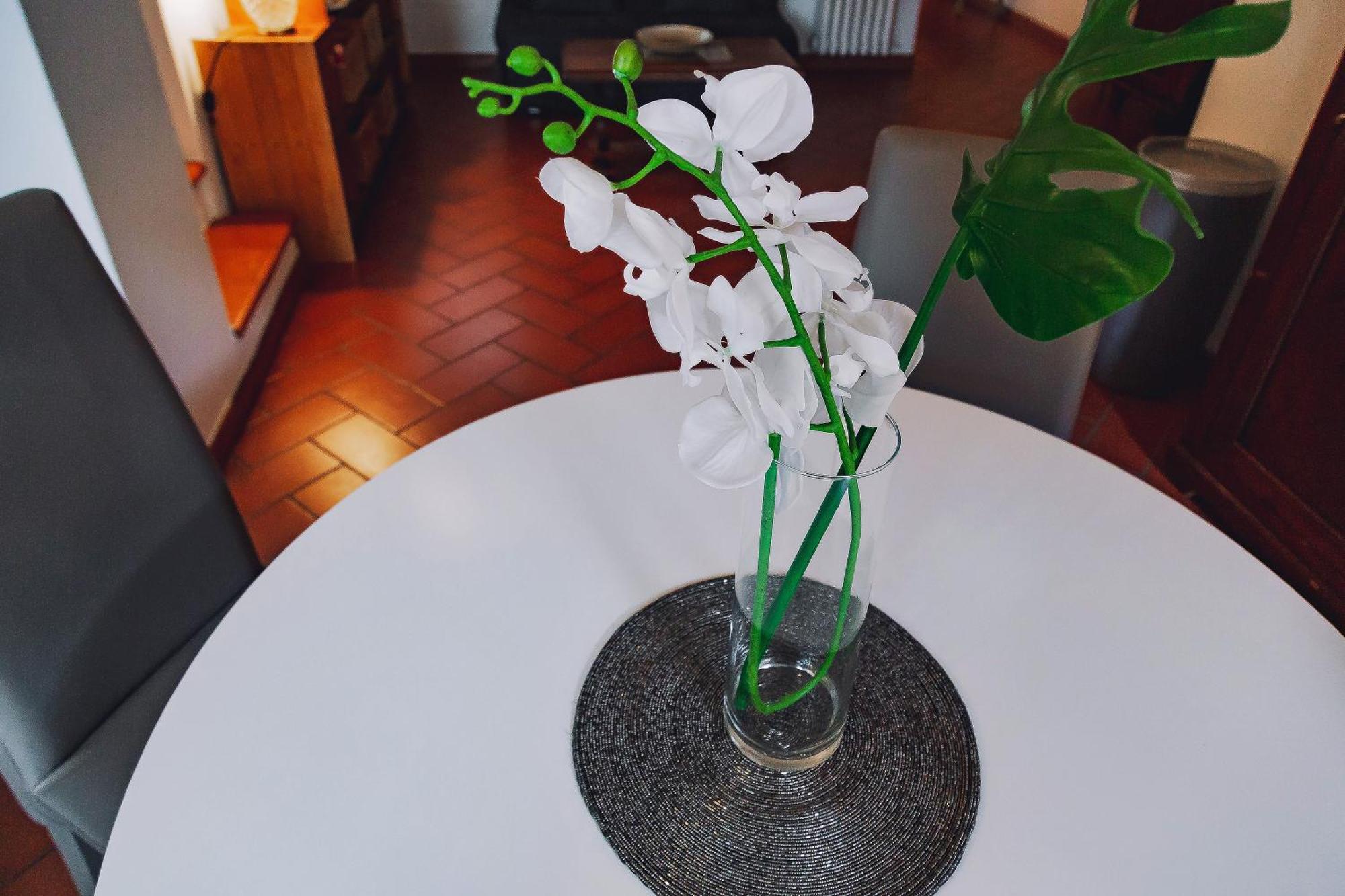 佛罗伦萨Borgo Pinti 49公寓 外观 照片